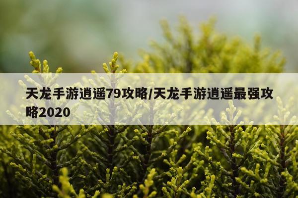 天龙手游逍遥79攻略/天龙手游逍遥最强攻略2020