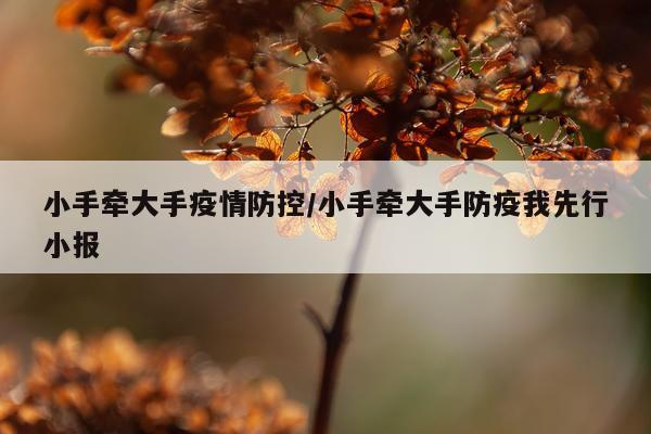 小手牵大手疫情防控/小手牵大手防疫我先行小报