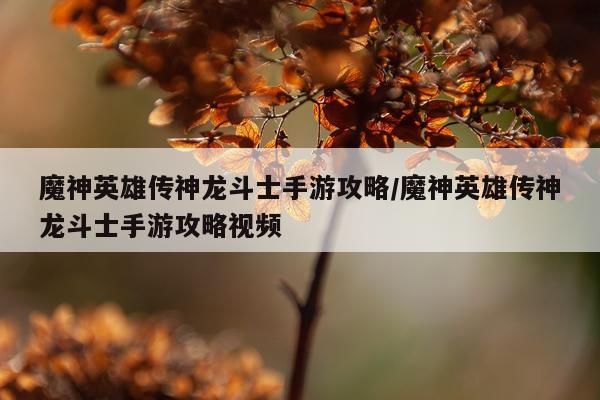 魔神英雄传神龙斗士手游攻略/魔神英雄传神龙斗士手游攻略视频