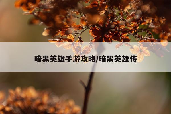 暗黑英雄手游攻略/暗黑英雄传