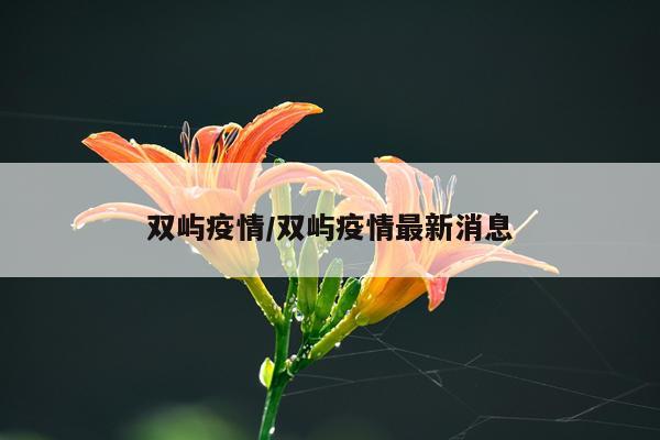 双屿疫情/双屿疫情最新消息