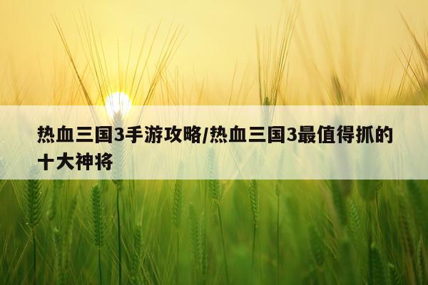 热血三国3手游攻略/热血三国3最值得抓的十大神将