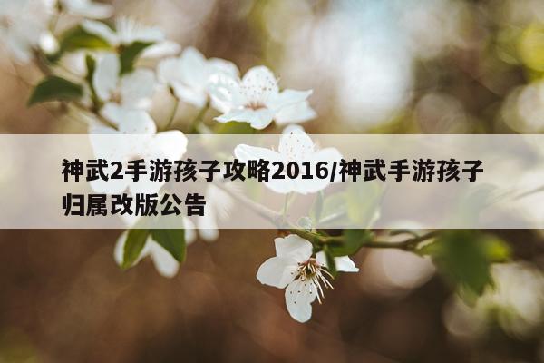 神武2手游孩子攻略2016/神武手游孩子归属改版公告