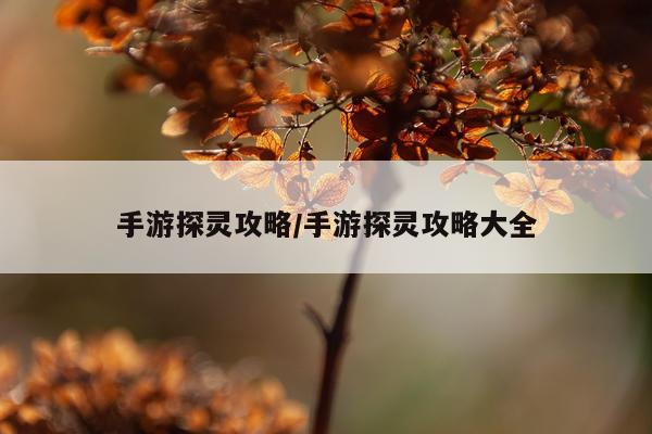 手游探灵攻略/手游探灵攻略大全