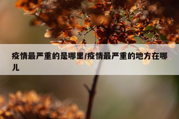 疫情最严重的是哪里/疫情最严重的地方在哪儿