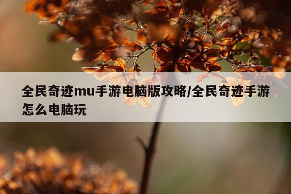 全民奇迹mu手游电脑版攻略/全民奇迹手游怎么电脑玩