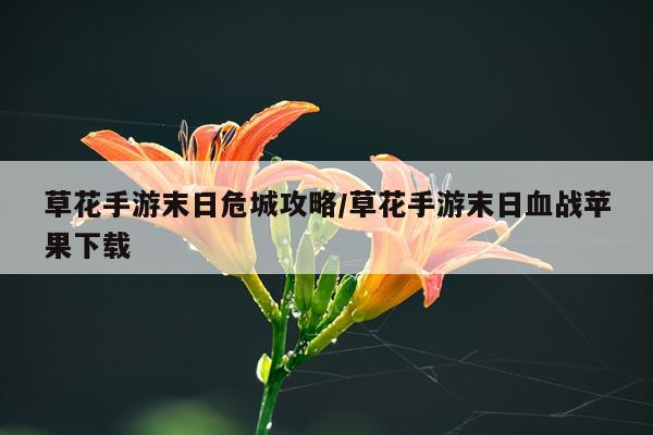 草花手游末日危城攻略/草花手游末日血战苹果下载