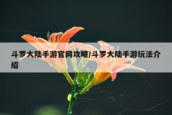 斗罗大陆手游官网攻略/斗罗大陆手游玩法介绍