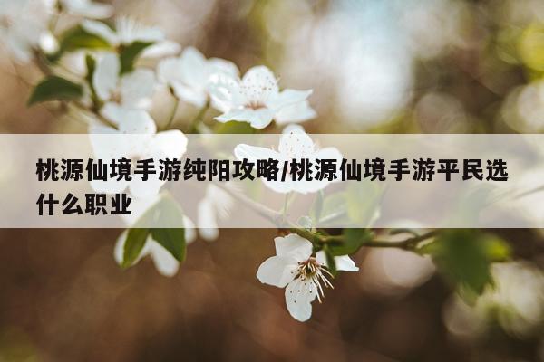 桃源仙境手游纯阳攻略/桃源仙境手游平民选什么职业