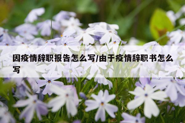 因疫情辞职报告怎么写/由于疫情辞职书怎么写