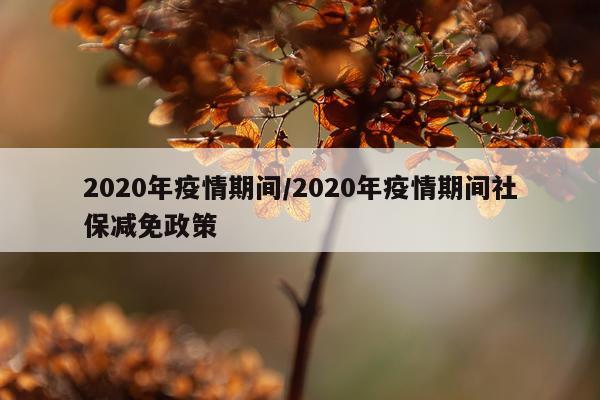 2020年疫情期间/2020年疫情期间社保减免政策