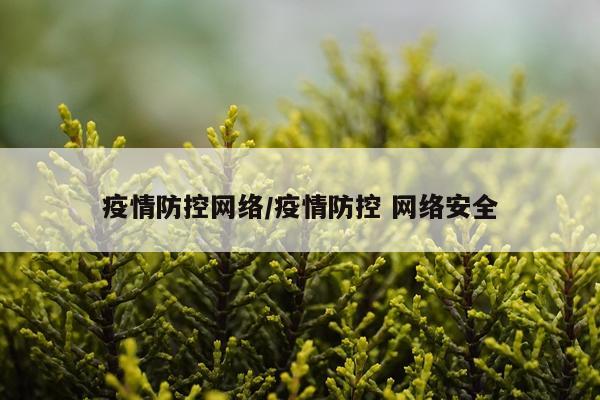 疫情防控网络/疫情防控 网络安全