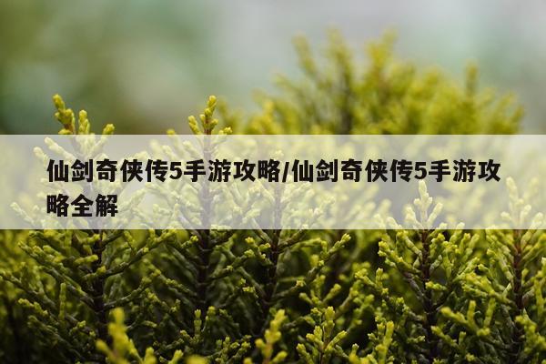 仙剑奇侠传5手游攻略/仙剑奇侠传5手游攻略全解