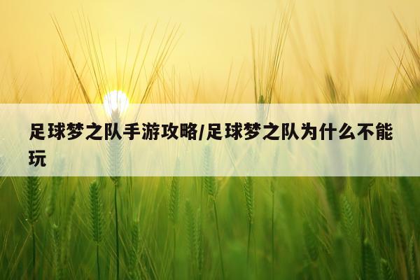 足球梦之队手游攻略/足球梦之队为什么不能玩
