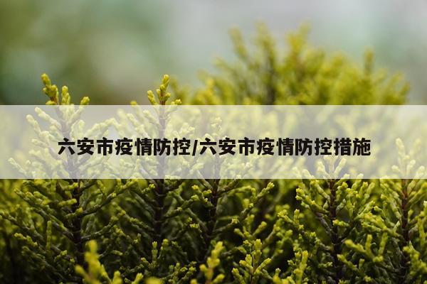 六安市疫情防控/六安市疫情防控措施