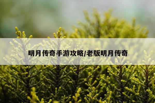 明月传奇手游攻略/老版明月传奇