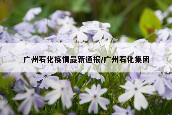 广州石化疫情最新通报/广州石化集团