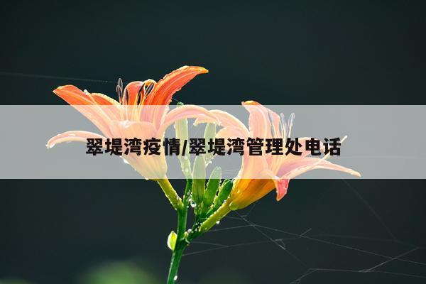 翠堤湾疫情/翠堤湾管理处电话