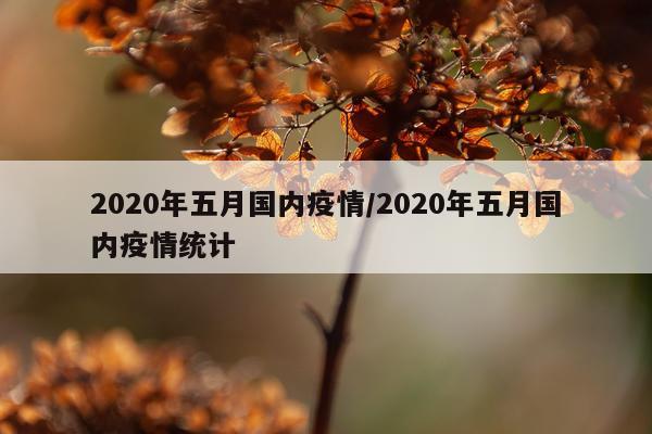 2020年五月国内疫情/2020年五月国内疫情统计