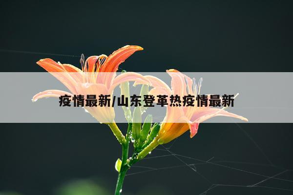 疫情最新/山东登革热疫情最新