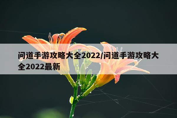 问道手游攻略大全2022/问道手游攻略大全2022最新