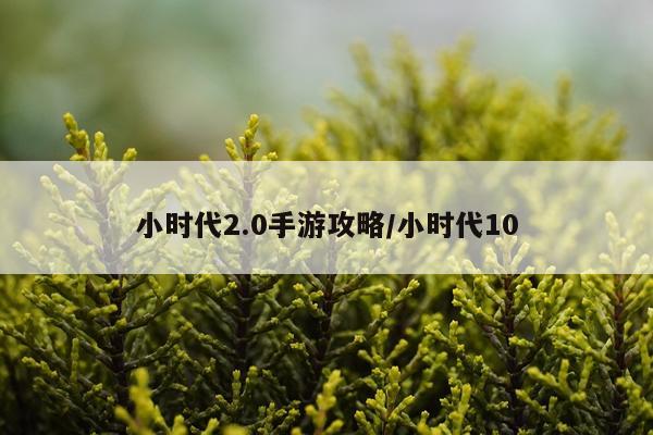 小时代2.0手游攻略/小时代10