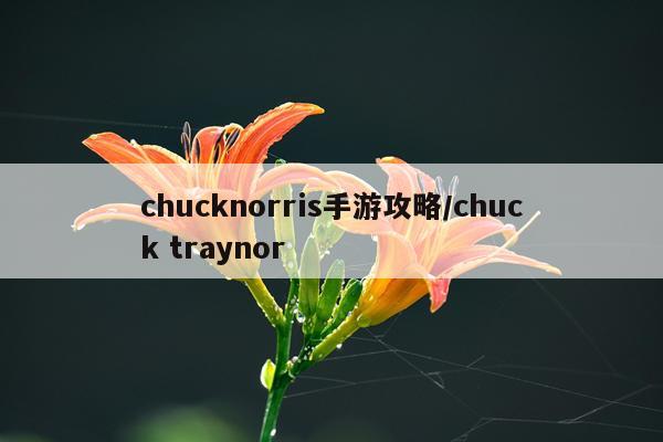 chucknorris手游攻略/chuck traynor