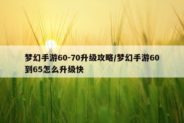 梦幻手游60-70升级攻略/梦幻手游60到65怎么升级快