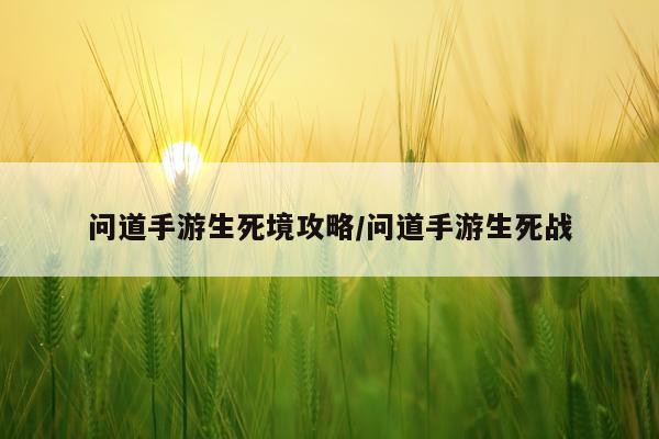 问道手游生死境攻略/问道手游生死战
