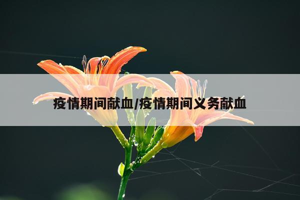 疫情期间献血/疫情期间义务献血