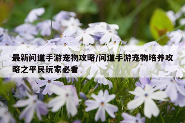 最新问道手游宠物攻略/问道手游宠物培养攻略之平民玩家必看