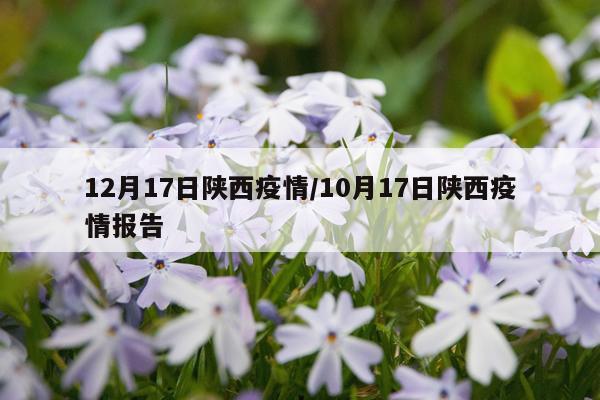 12月17日陕西疫情/10月17日陕西疫情报告