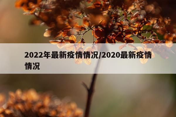 2022年最新疫情情况/2020最新疫情情况