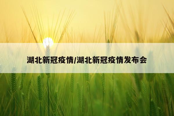 湖北新冠疫情/湖北新冠疫情发布会