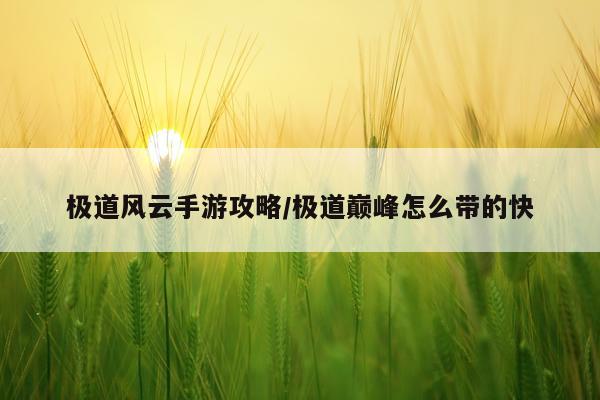 极道风云手游攻略/极道巅峰怎么带的快