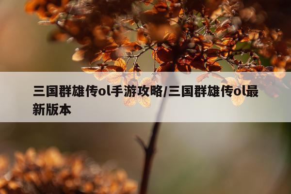 三国群雄传ol手游攻略/三国群雄传ol最新版本