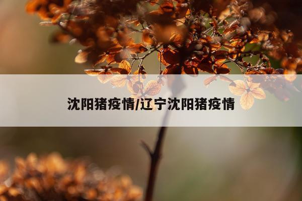 沈阳猪疫情/辽宁沈阳猪疫情