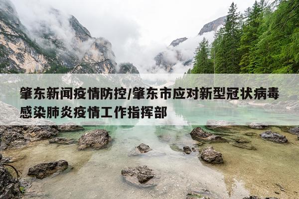 肇东新闻疫情防控/肇东市应对新型冠状病毒感染肺炎疫情工作指挥部