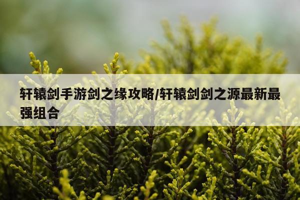 轩辕剑手游剑之缘攻略/轩辕剑剑之源最新最强组合