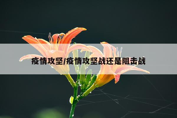 疫情攻坚/疫情攻坚战还是阻击战