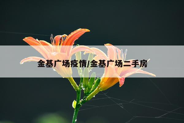金基广场疫情/金基广场二手房