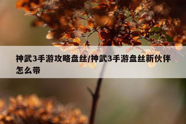 神武3手游攻略盘丝/神武3手游盘丝新伙伴怎么带