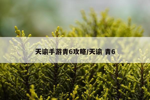 天谕手游青6攻略/天谕 青6