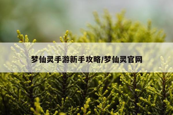 梦仙灵手游新手攻略/梦仙灵官网