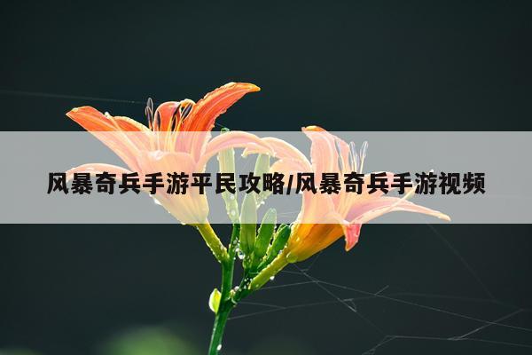 风暴奇兵手游平民攻略/风暴奇兵手游视频