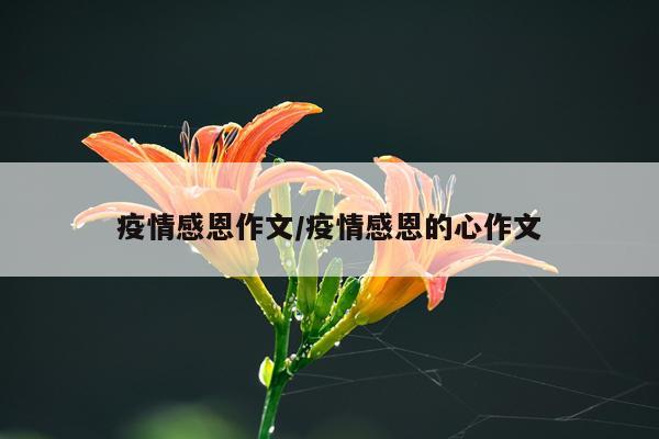 疫情感恩作文/疫情感恩的心作文