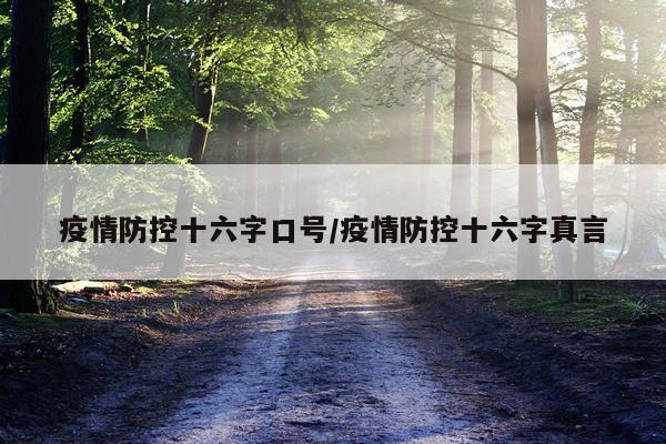 疫情防控十六字口号/疫情防控十六字真言