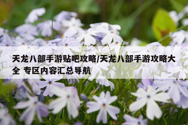 天龙八部手游贴吧攻略/天龙八部手游攻略大全 专区内容汇总导航