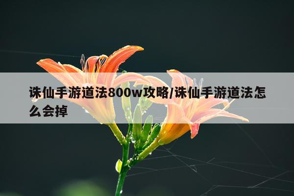 诛仙手游道法800w攻略/诛仙手游道法怎么会掉