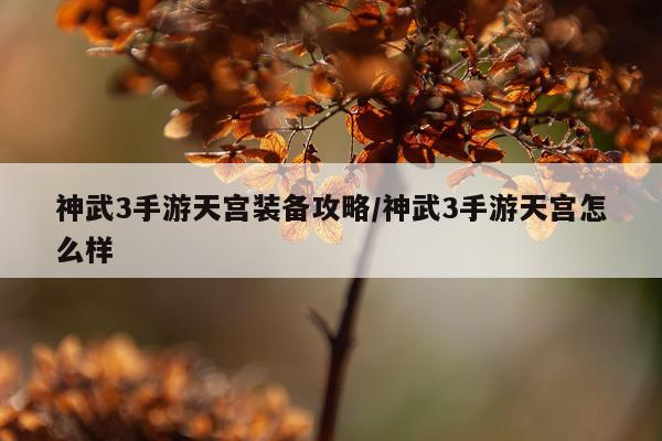 神武3手游天宫装备攻略/神武3手游天宫怎么样